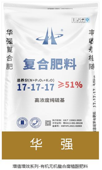 qmh球盟会