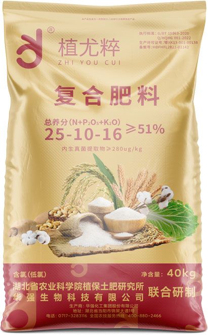 qmh球盟会