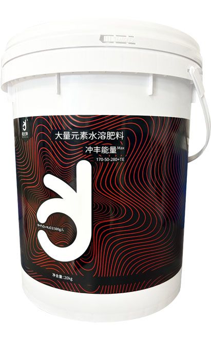 qmh球盟会