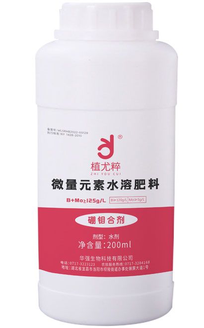 qmh球盟会