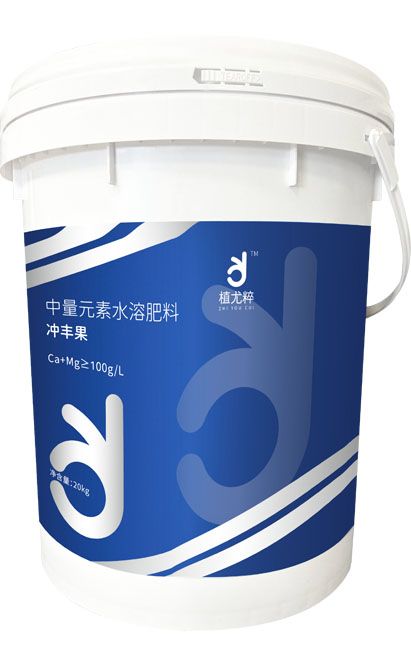 qmh球盟会