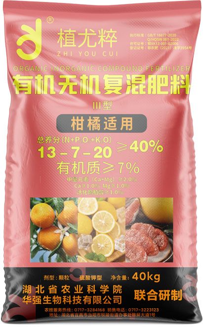 qmh球盟会