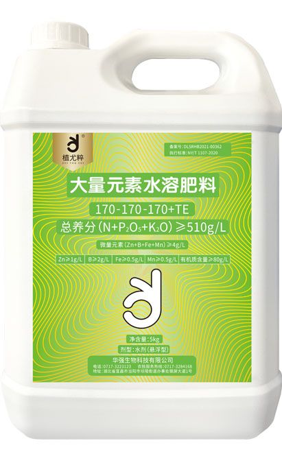 qmh球盟会