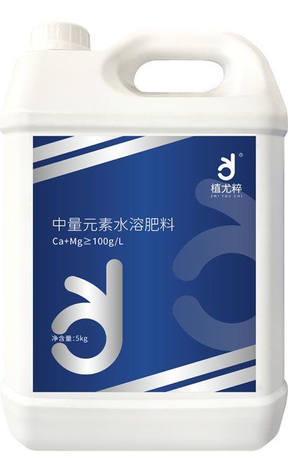 qmh球盟会