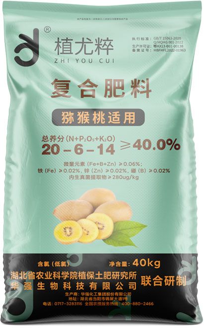 qmh球盟会