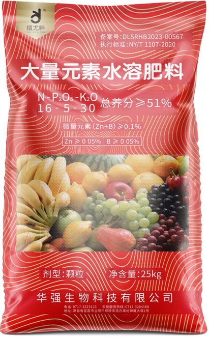 qmh球盟会